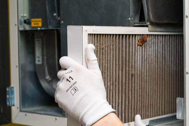 Best Home Air Vent Cleaning  in Joseph City, AZ