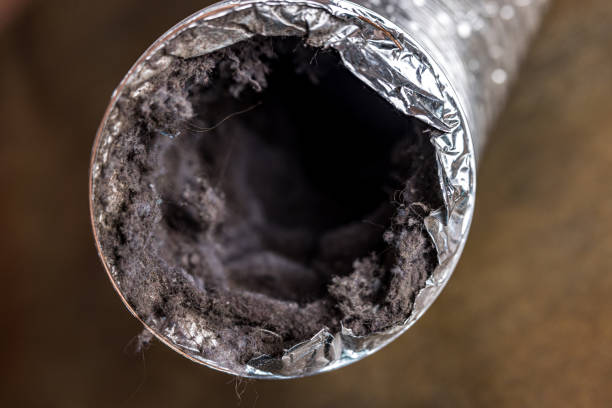 Best Residential Air Duct Cleaning  in Joseph City, AZ